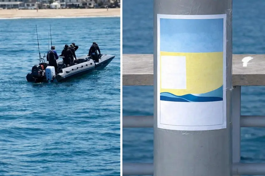 Concerns Rise as Young Great White Sharks Attract Fishermen in Southern California