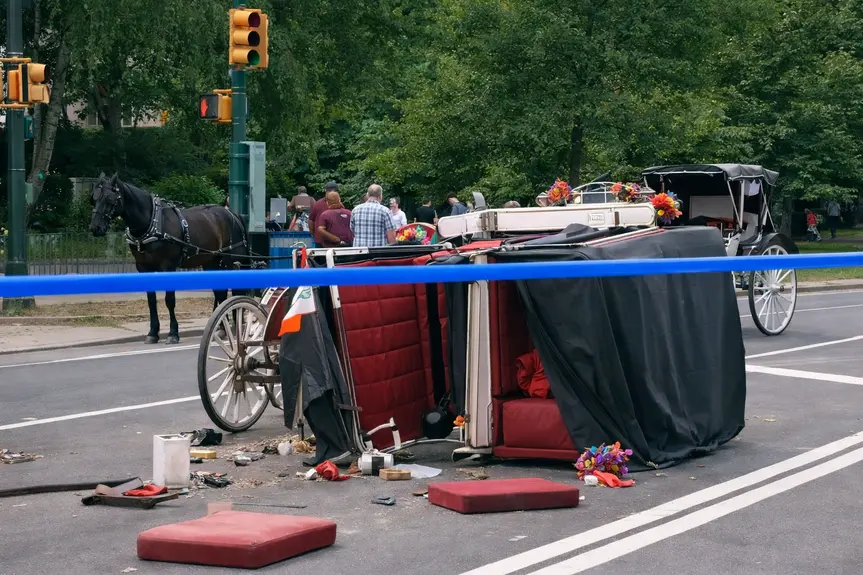 Tragic Accident in Central Park: An 18-Year-Old Loses His Life