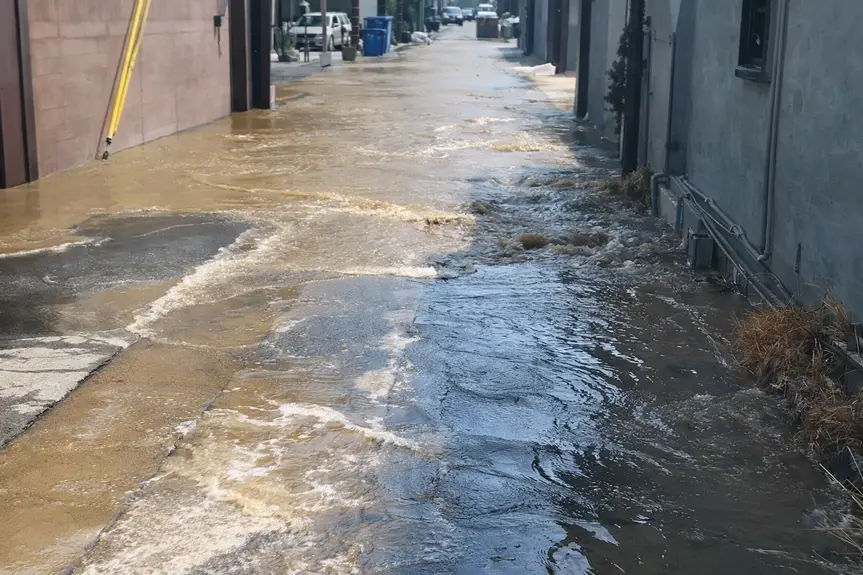 Venice Flooding Highlights Urgent Need for Infrastructure Upgrades