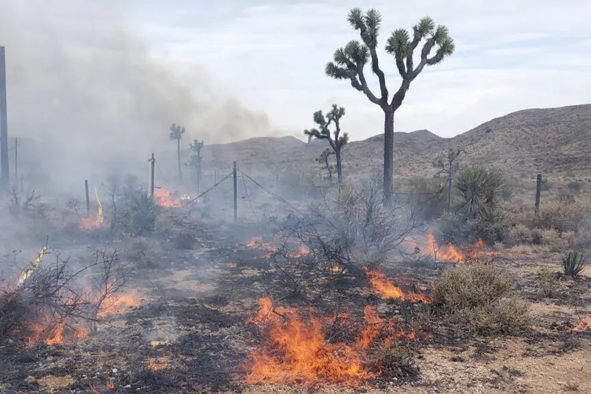 Destructive Skyline Fire in Yucca Valley: Four Structures Lost, Firefighter Injured